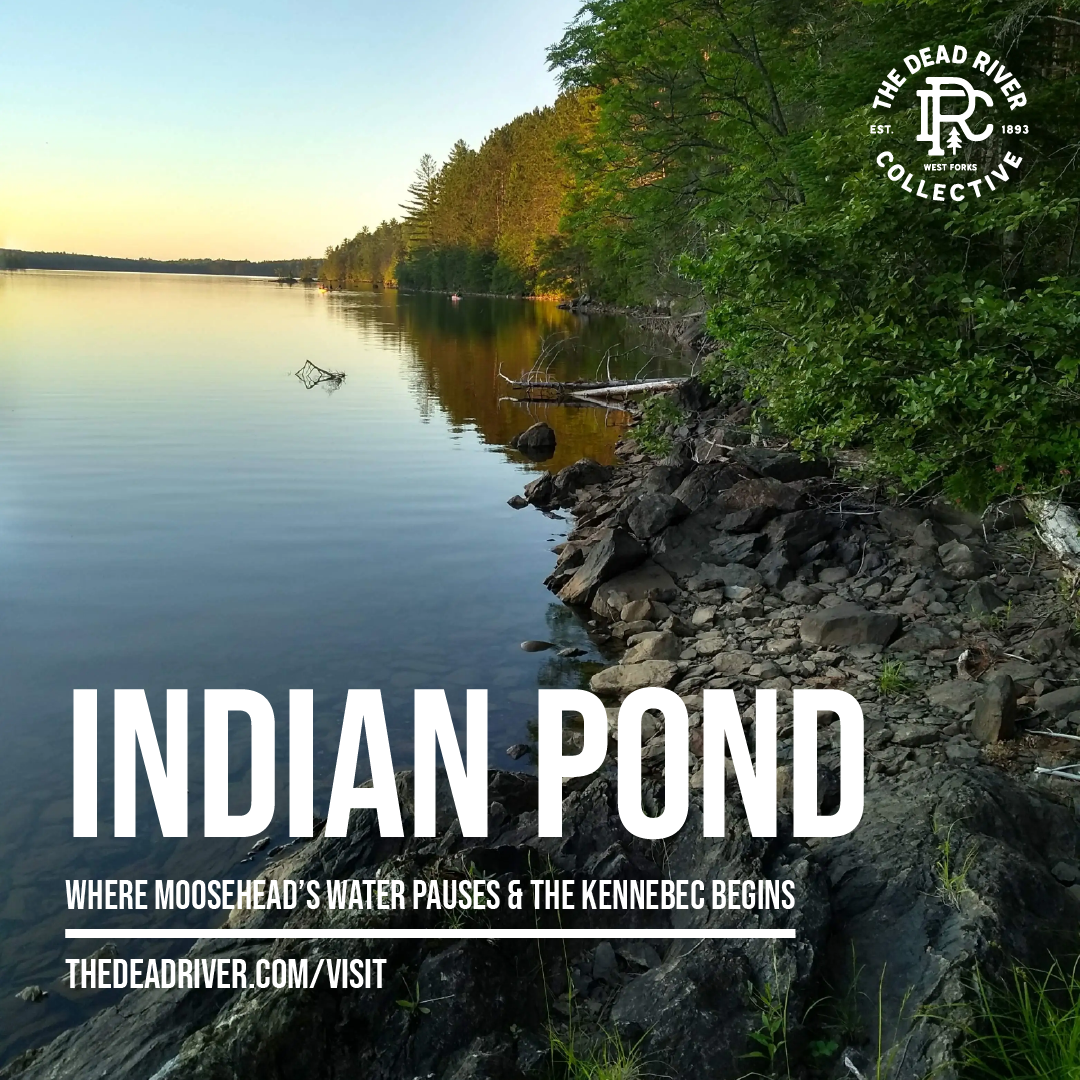 The Dead - 🛶 Indian Pond — Quiet coves, big sky, North Woods calm Slip ...