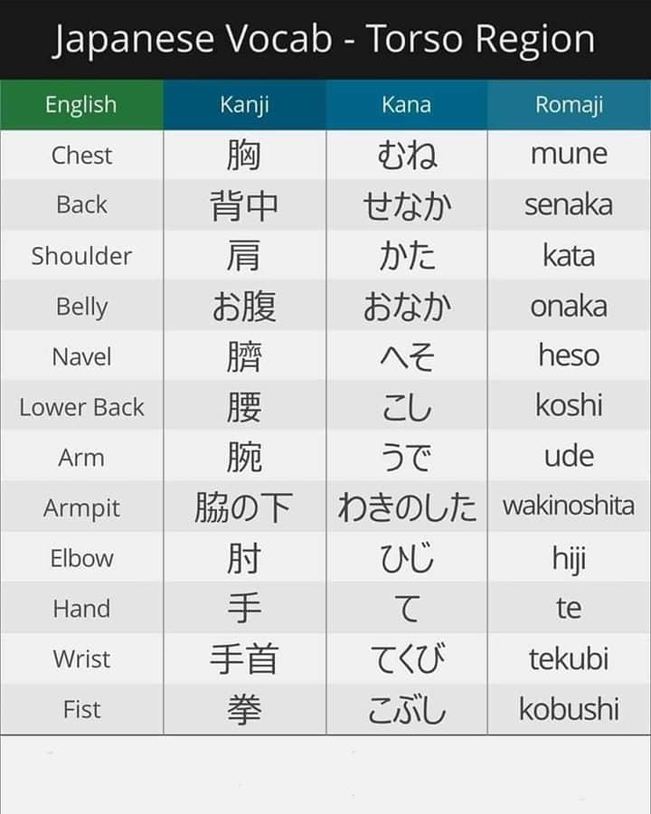 Learn Japanese Language added a - Learn Japanese Language