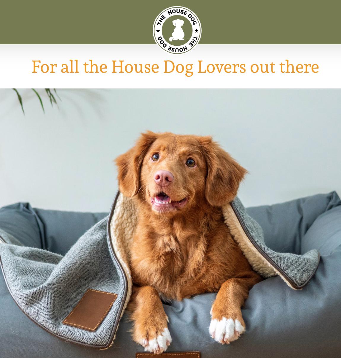 The House Dog | New York NY