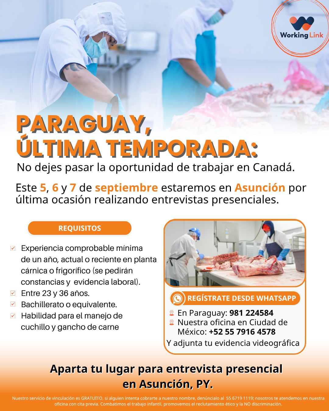 Working Link, S.A de C.V added... - Working Link, S.A de C.V