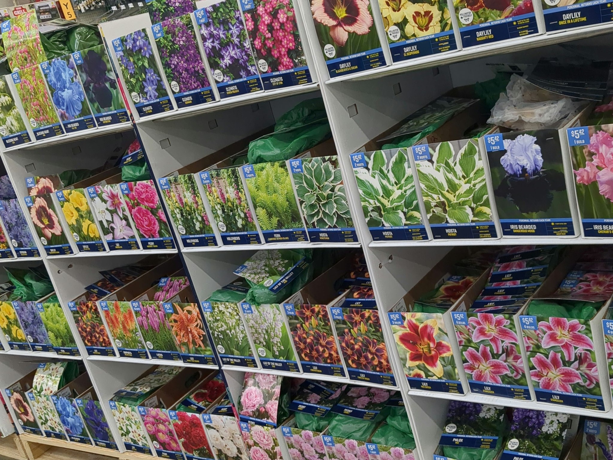 Walmart - 🏵️ Spring is rapidly approaching and we have all the bulbs ...