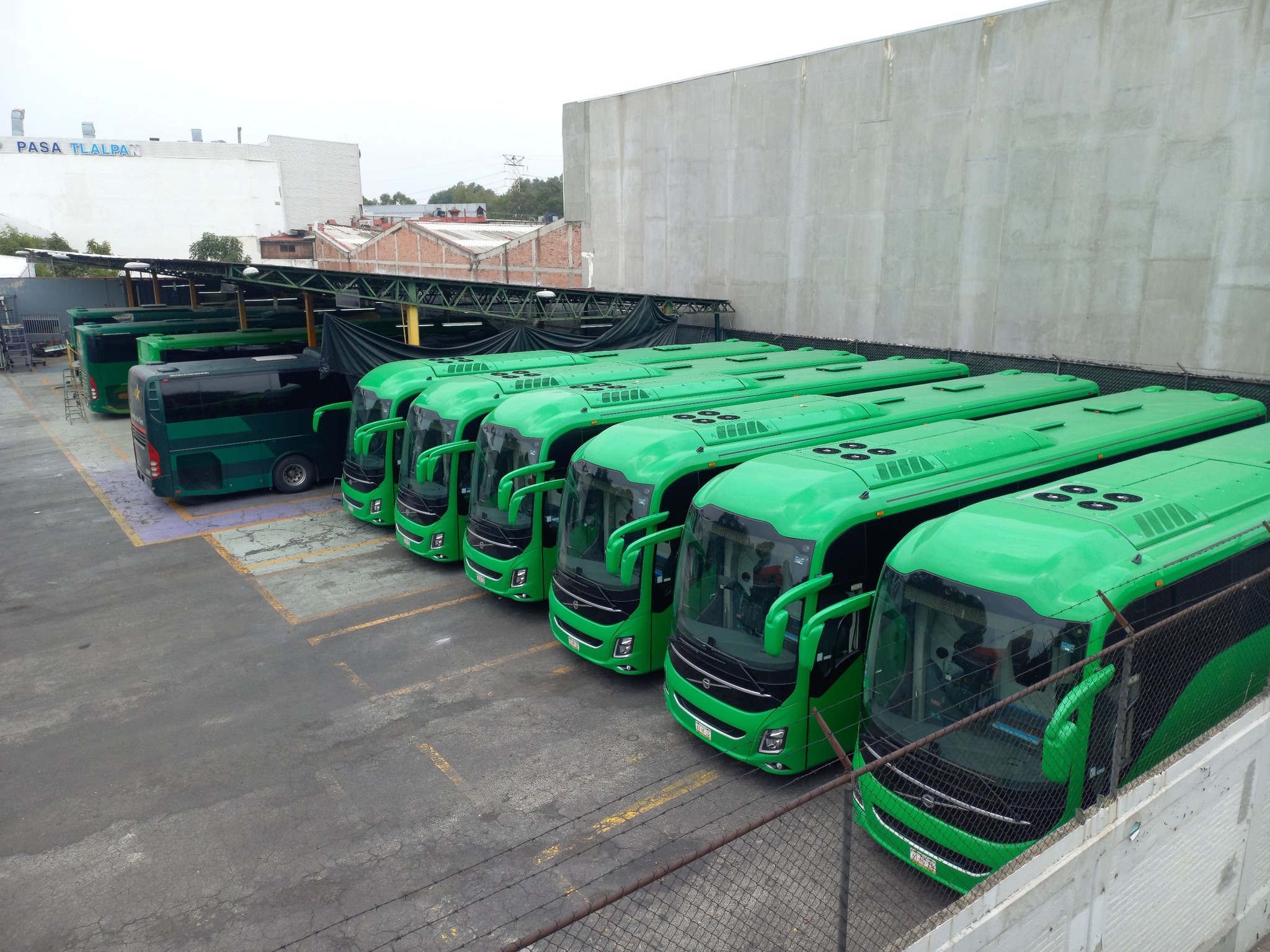 Maxibuses