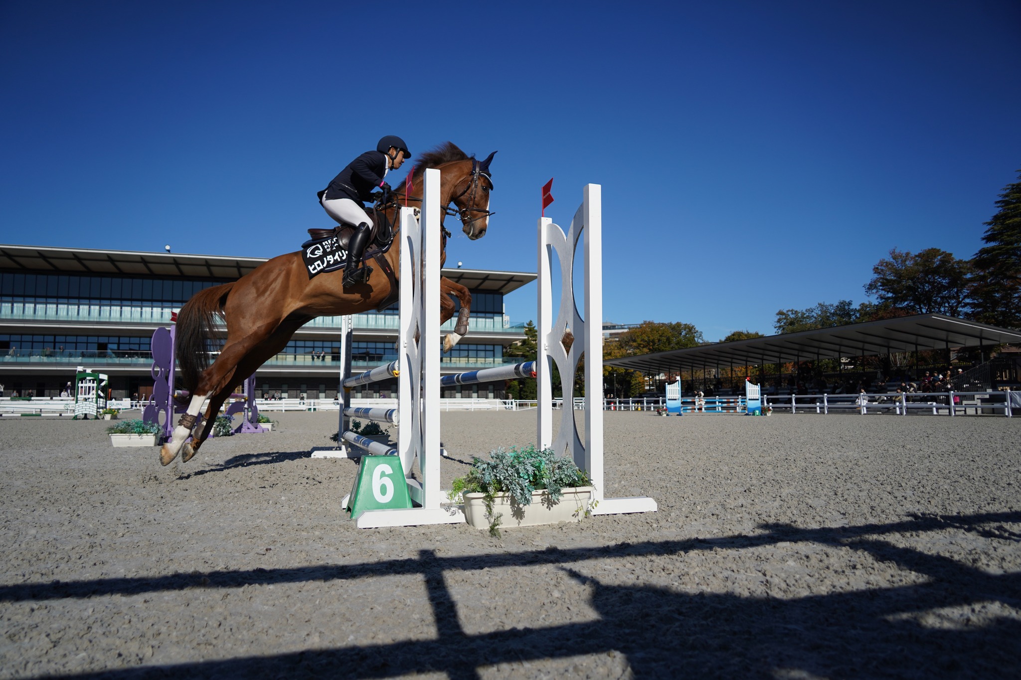 公益社団法人 全国乗馬倶楽部振興協会 - National Riding Club 