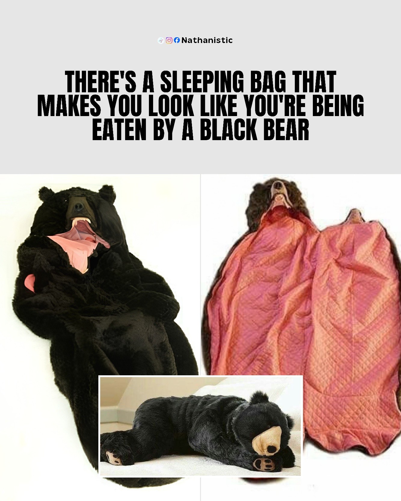 きいすけ Standing Bear Sleeping Bag ×2 There's a sleeping bag that makes you look like you're being eaten