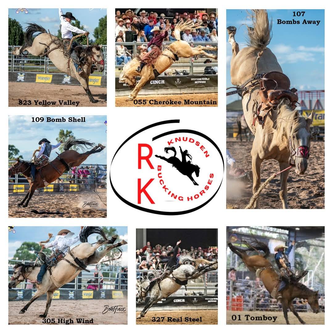 BK Bucking Bulls