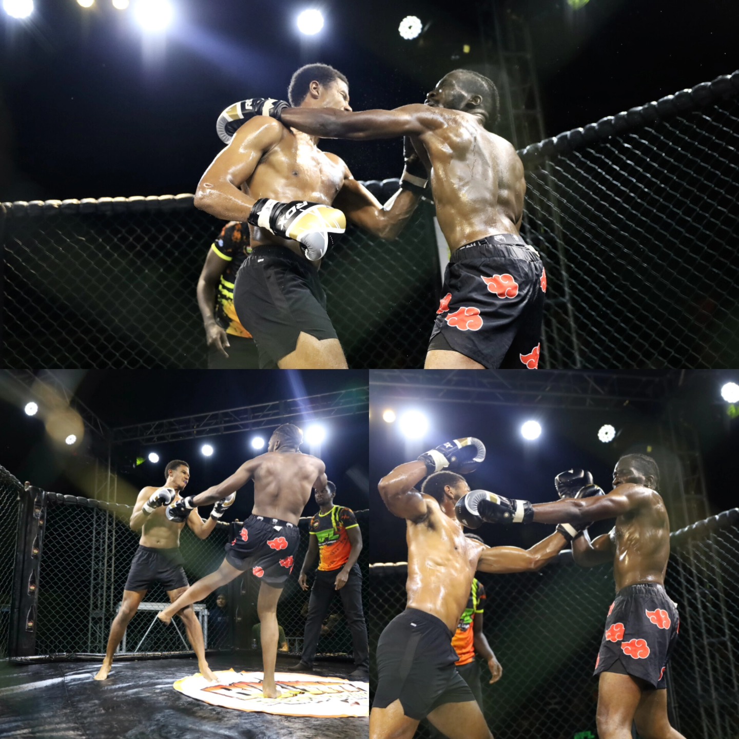 Rough Fight League added a new photo. - Rough Fight League