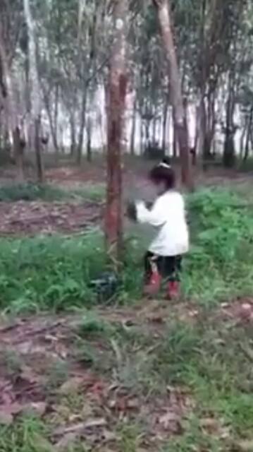 Pertubuhan Anak Polis Malaysia Papm Selepas Melihat Video Membuat Hati Jadi Sayu Inilah Pengalaman Hidup Saya Waktu Kecil Dahulu Belum Ke Sekolah Lagi Sudah Ikut Arwah Ibu Menoreh Getah Di
