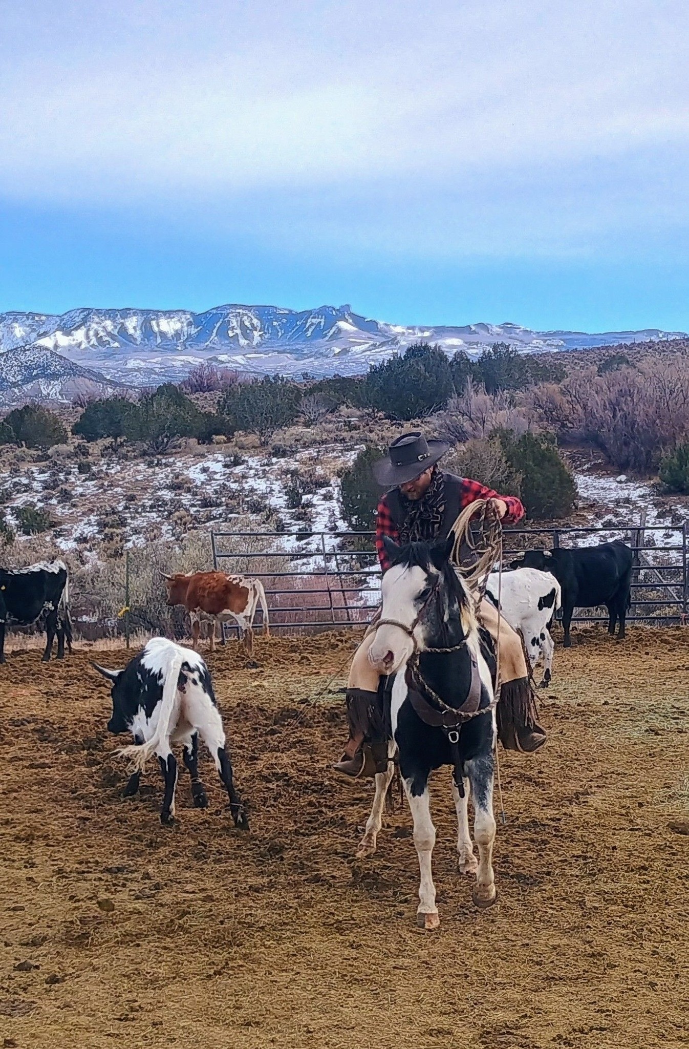 Ranch Roping Clinic