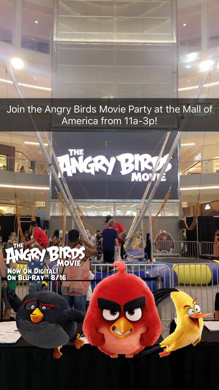 The Angry Birds Movie
