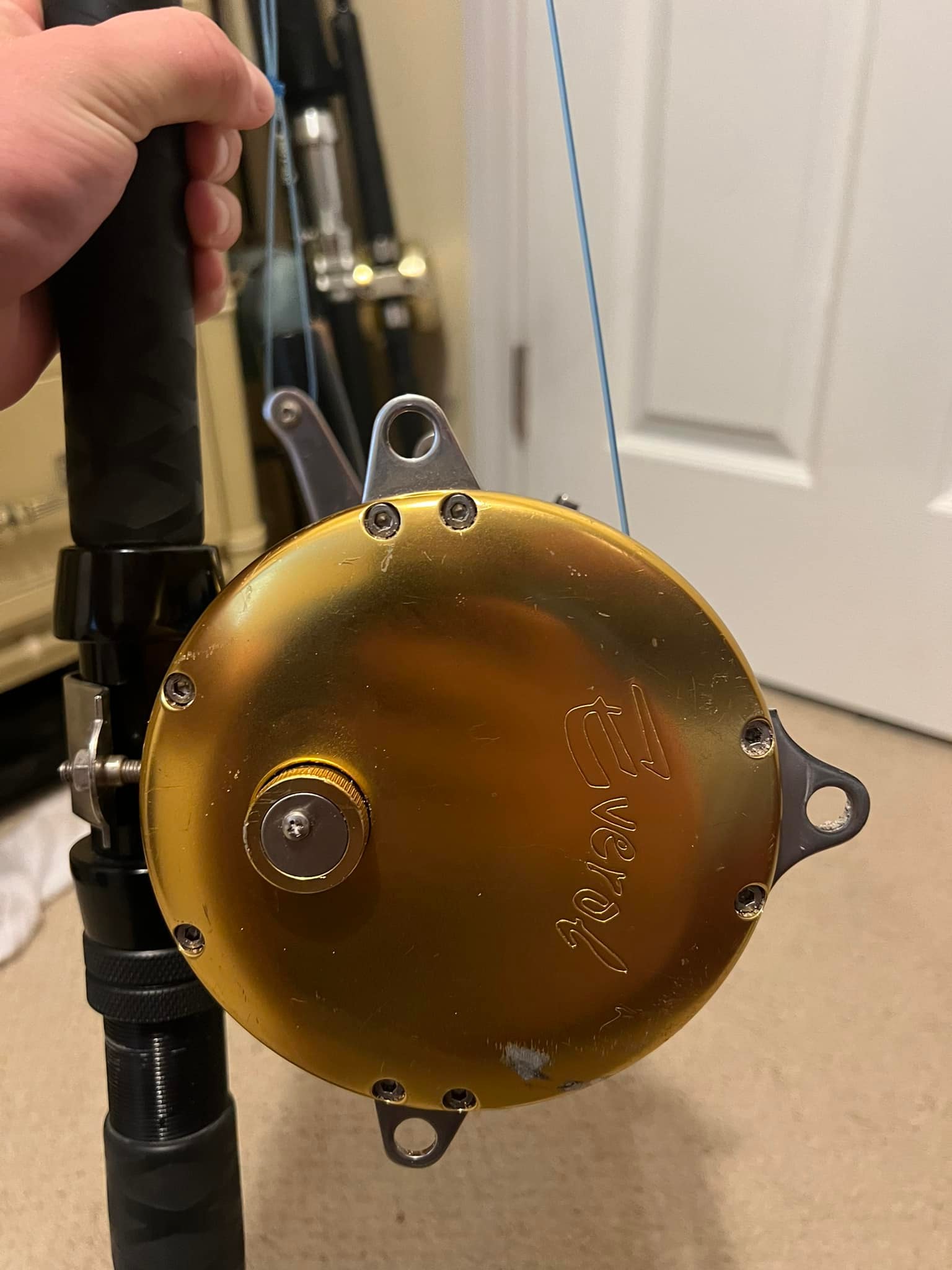 Any interested in trading a avet trx 80w for a everol 9/0?