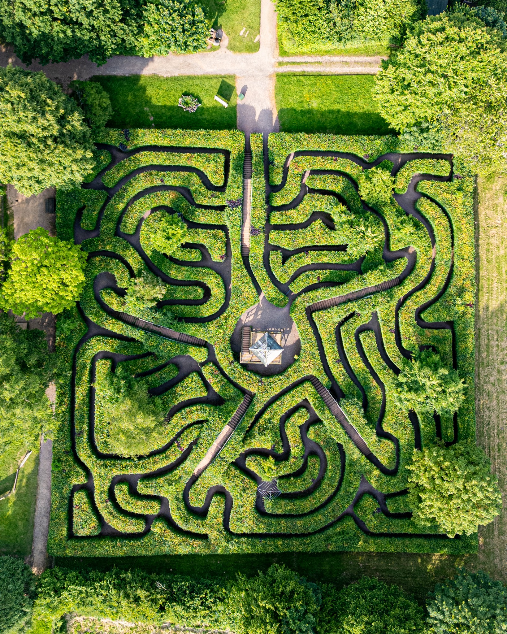 Sunday challenge: Can you beat the maze? 🧐 There's no better way