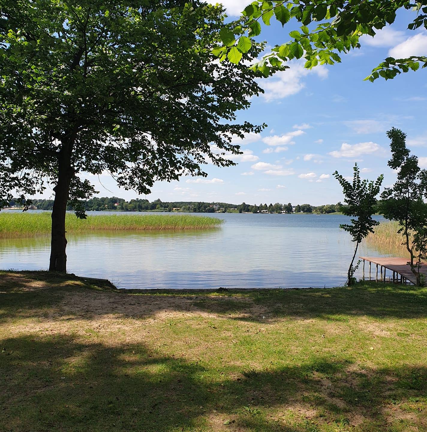 camping-pole-namiotowe-pla-a-le-na-polana-jezioro-bia-e-gostynin