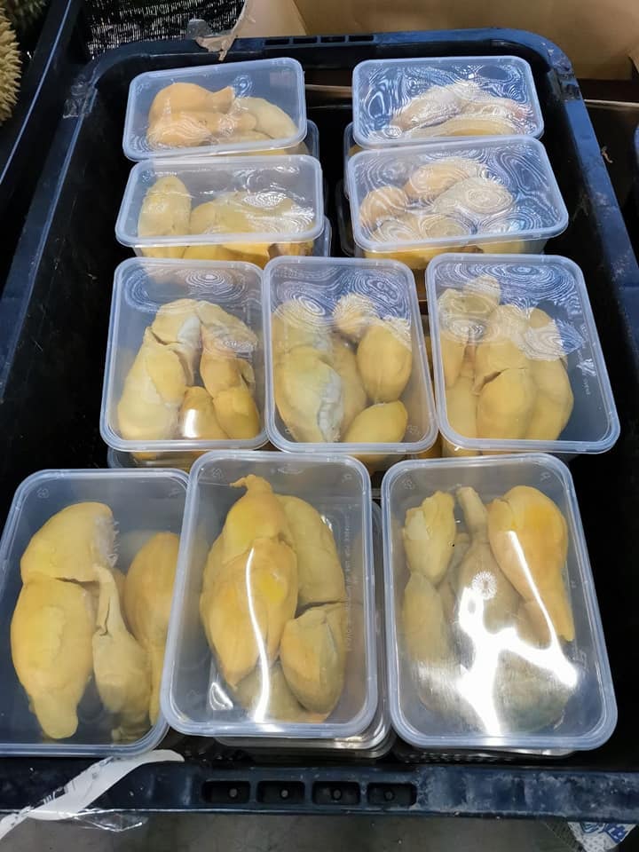 Durian Tembaga Emas Home Facebook