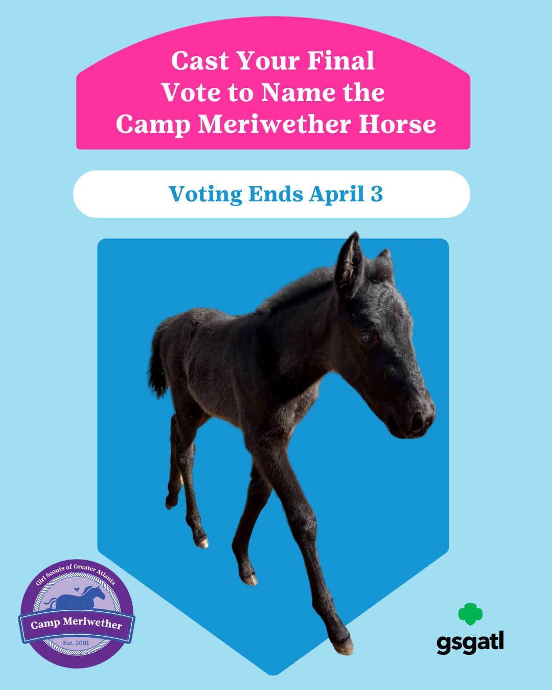 🐴 Final round, here we... - Girl Scouts of Greater Atlanta | Facebook