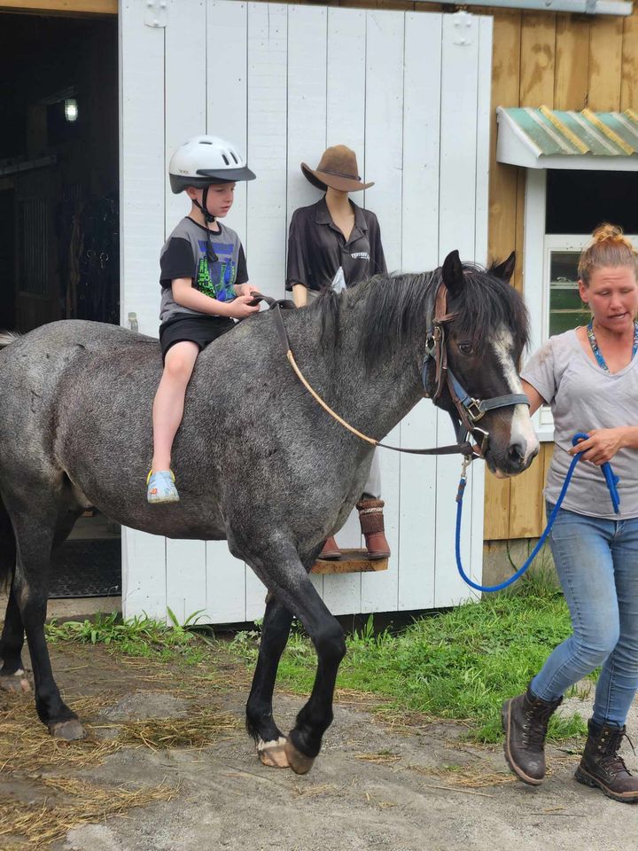 Fantasy Island Ranch | Marshfield VT