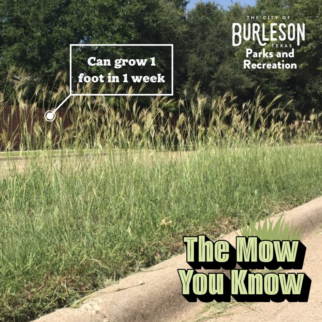 Each year around this... - Burleson Parks and Recreation | Facebook