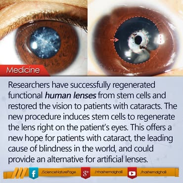 Scientists have successfully... - Hashem Al-Ghaili