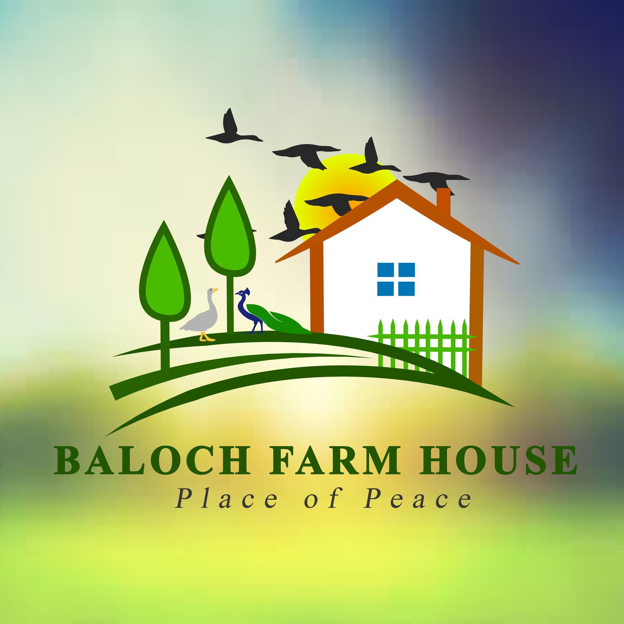 Baloch Farm House