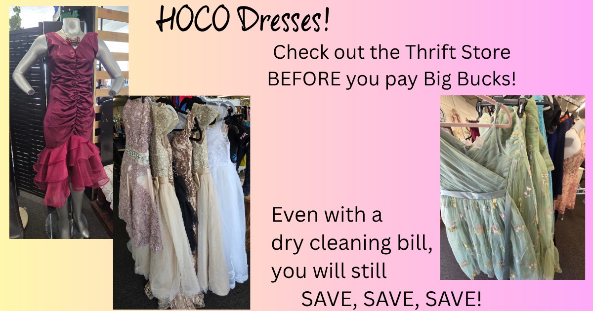 thrift store homecoming dresses at local with in-store try on NuORDER Sync: True