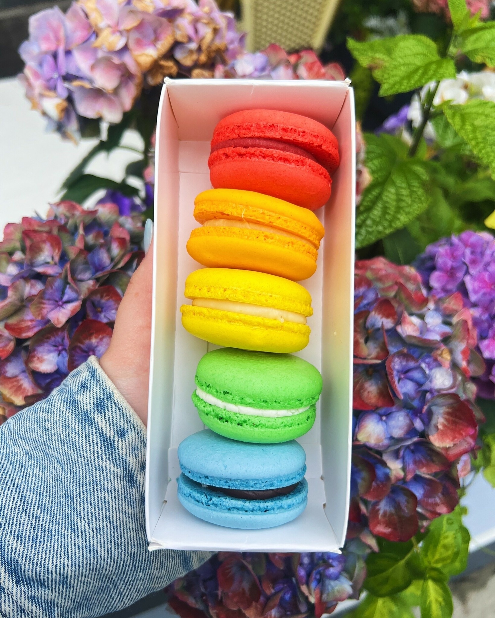 Sift - Our Rainbow Macaron Gift Boxes are available all month long at ...