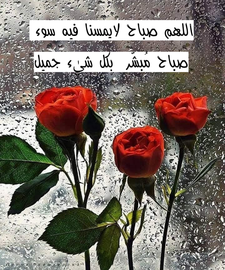 مجلة عذب الكلام اللھم صباح لايمسنا فيہ سوء صباح م بش ر بگل شي ء جميل صباح الخير Facebook