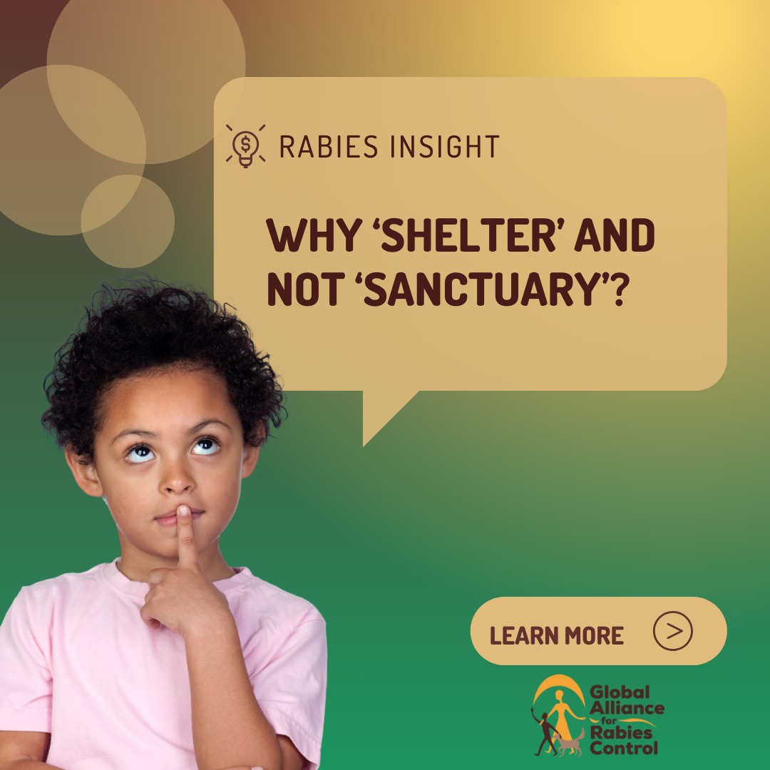Global - Rabies Insights: Shelter vs. Sanctuary 🐾 Do you know the ...