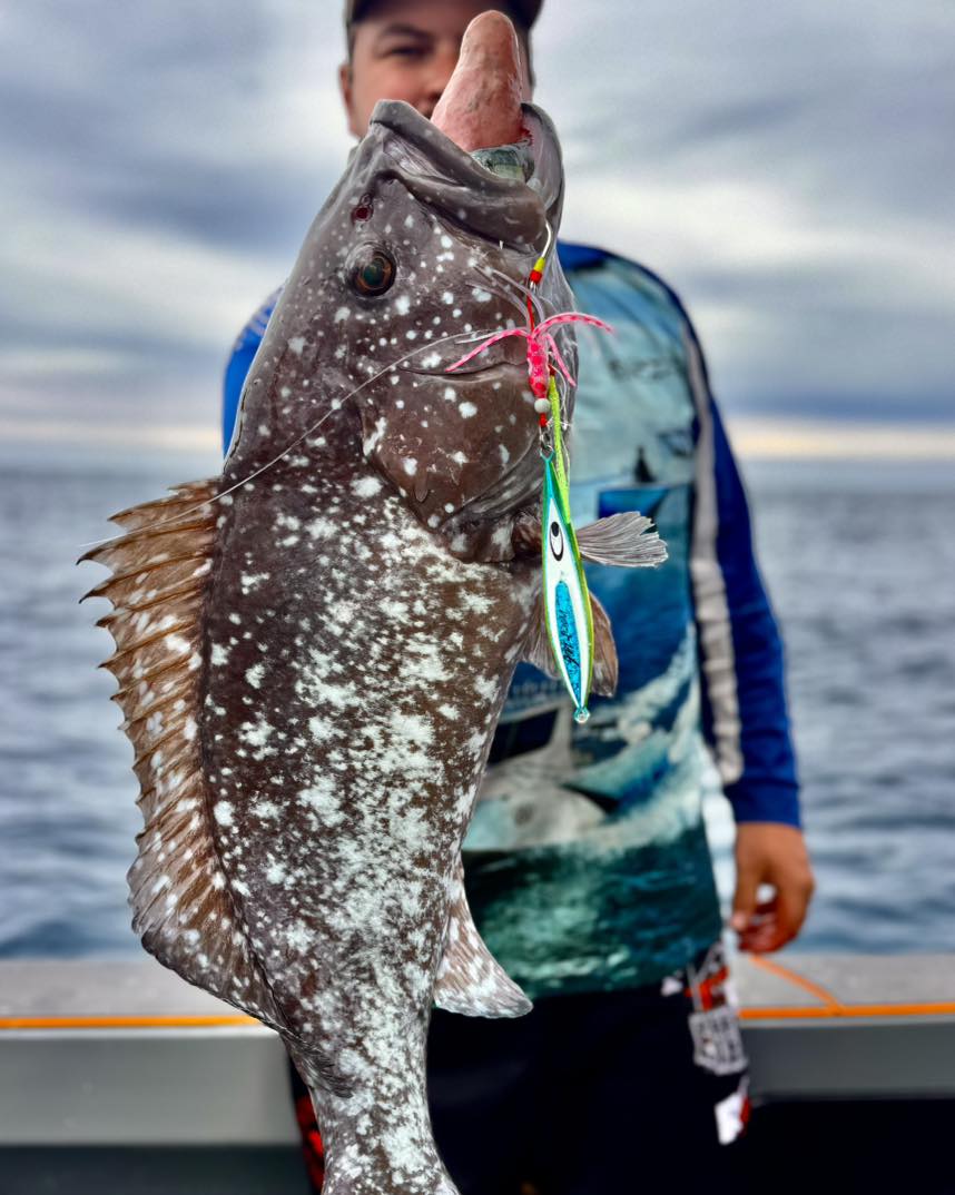 SnapBait - Rankin Cod . The man behind blue_dog_boats gets to ...