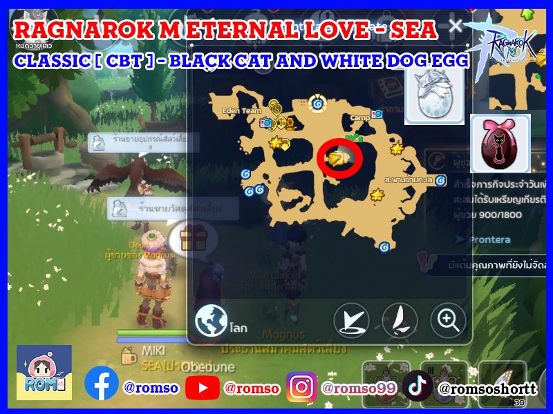 Rom - Ragnarok M Eternal Love : Classic SEA [ CBT ] - ไข่สัตว์เลี้ยง ...