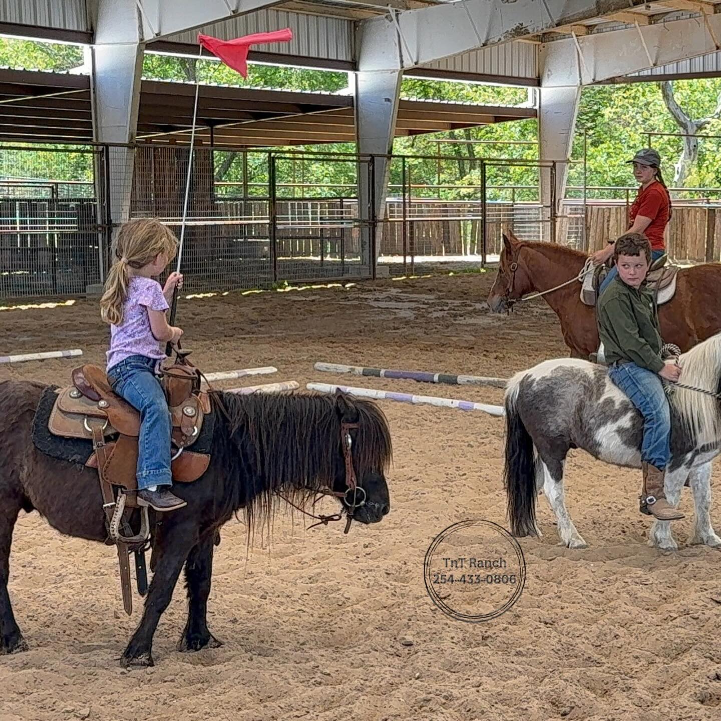 TnT Ranch & Tom Davis Horsemanship