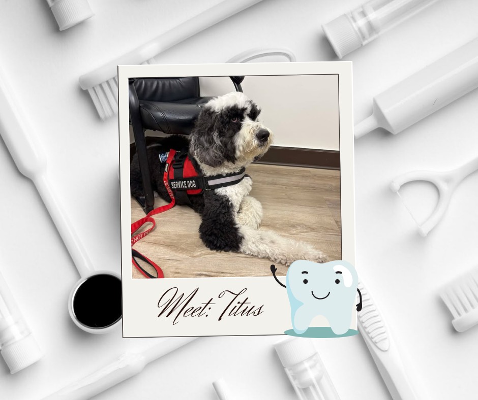 Shellard - 🐾 World Inclusion Day At Shellard Lane Family Dental ...