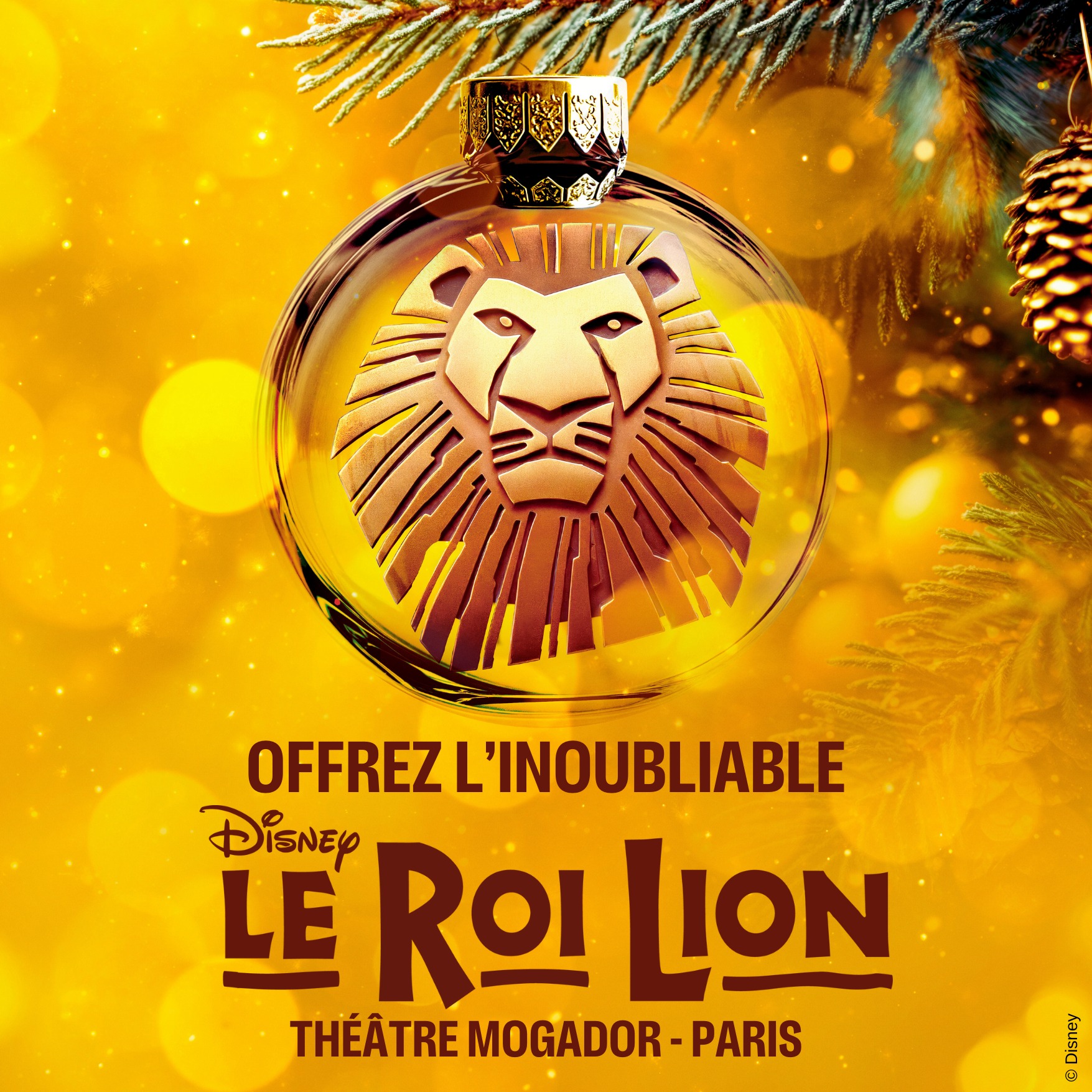 Coffret Ticketbox – Le Roi Lion – 2 Places Au Théâtre Mogador – Valable 27 Mois, échange Illimité