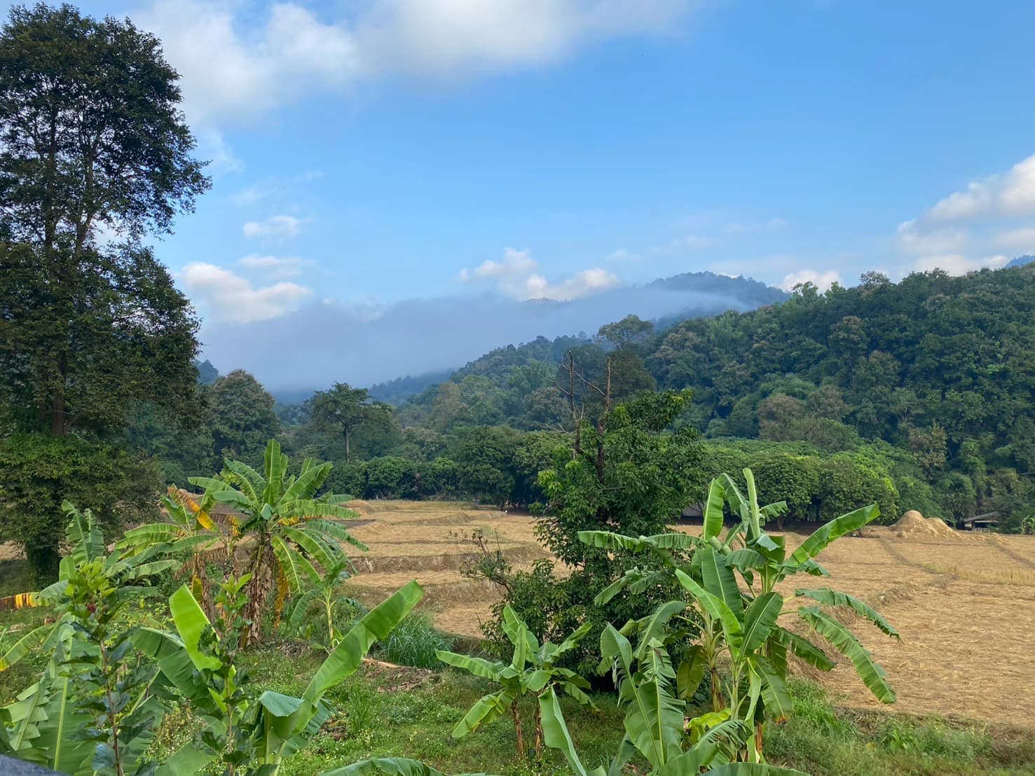 บ้านสวนฮักนา HugNa HomeStay | Chiang Mai