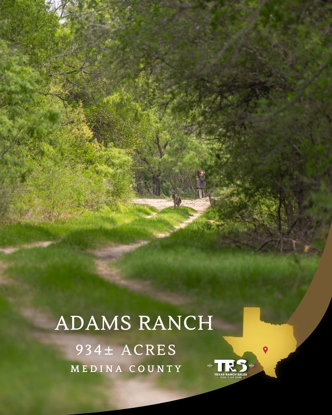 🌟 **New Listing: Adams Ranch –... - Texas Ranch Sales, L.L.C. | Facebook