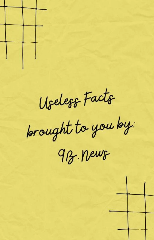 9B.News - Did you know...? It was the 9-year-old nephew... | Facebook