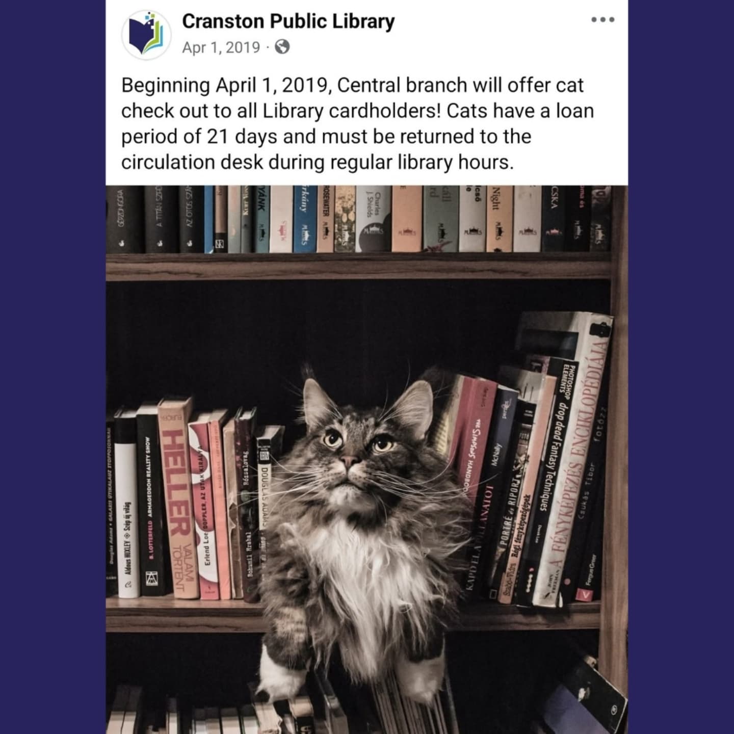 🤣 We don't have an April Fools... - Cranston Public Library | Facebook