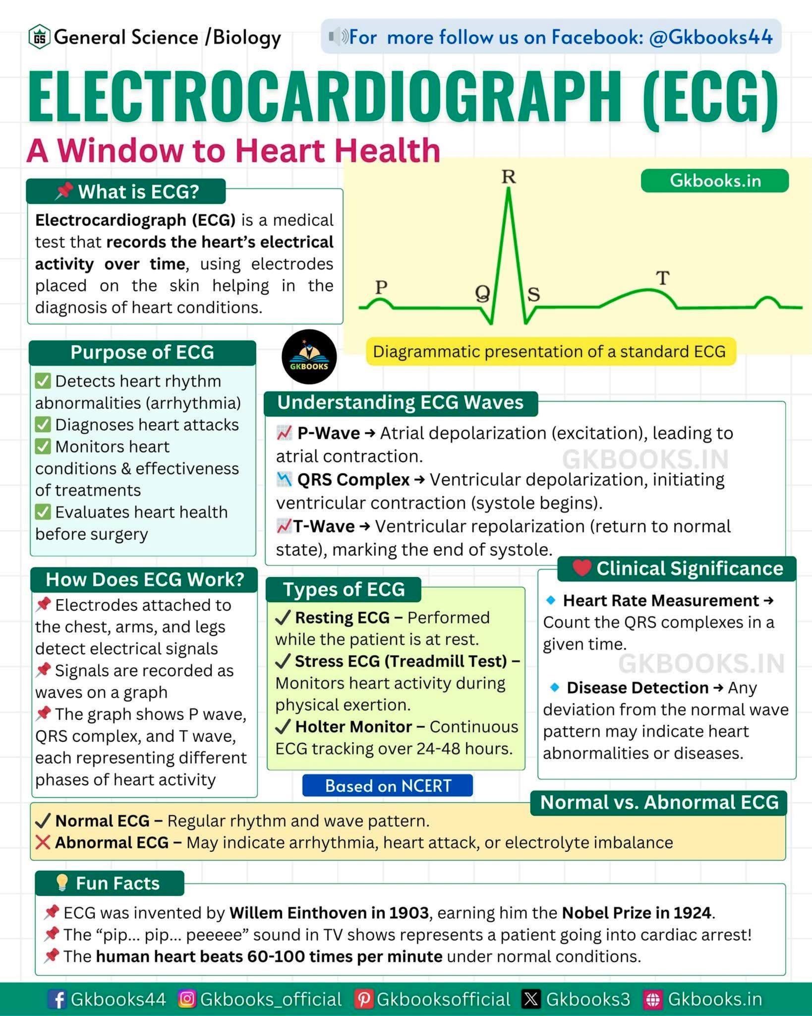 InfoPic Notes - Electrocardiograph (ECG) – Understanding... | Facebook