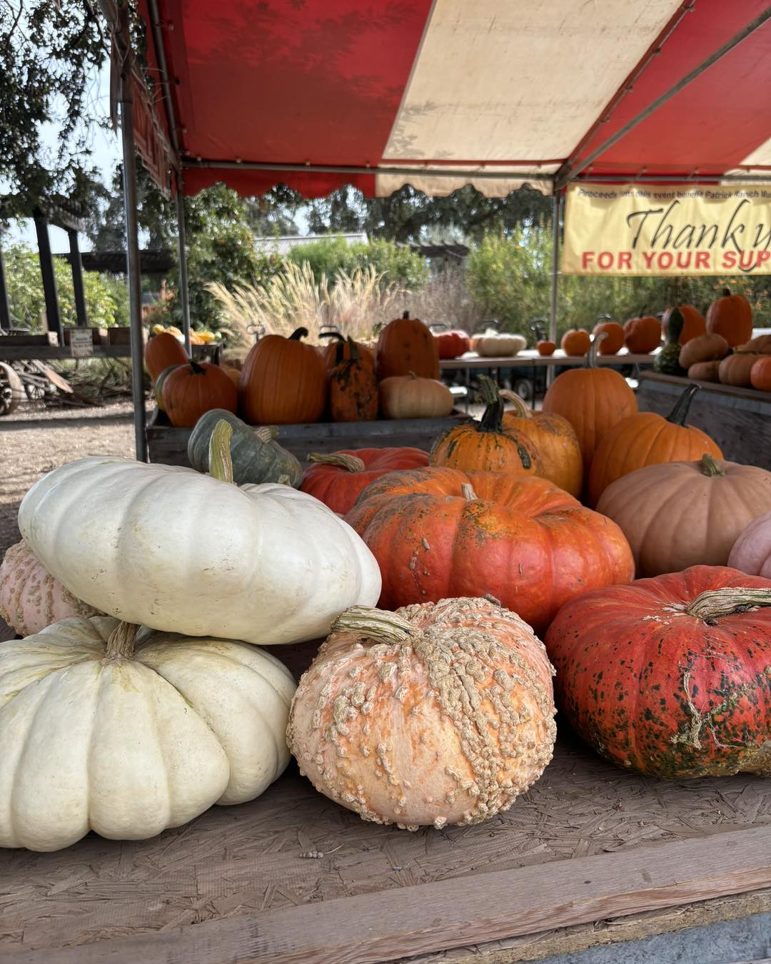 🍂 Thank You for an Incredible... - Patrick Ranch Museum | Facebook