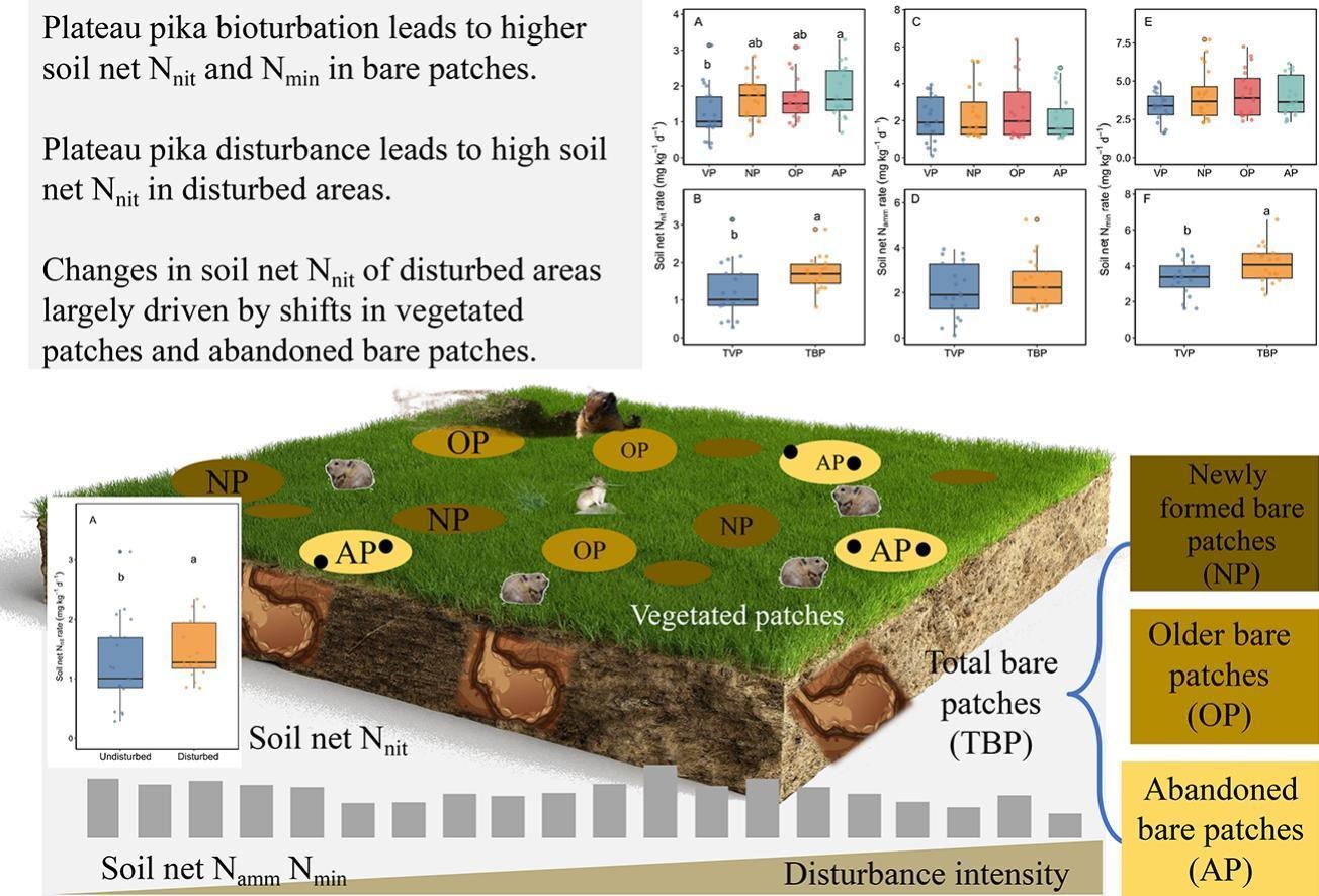 A new study reveals that plateau... - World Lagomorph Society | Facebook