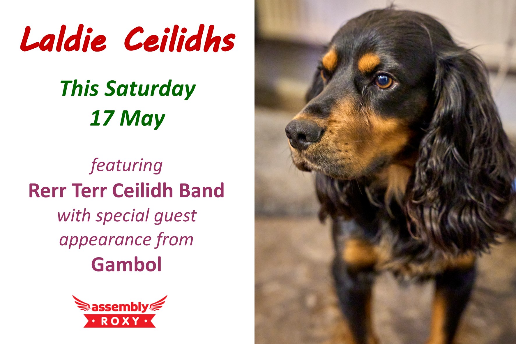Laldie Ceilidhs Edinburgh