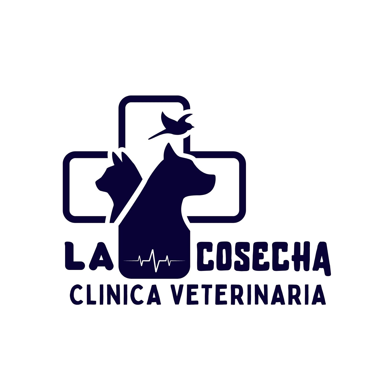 ¿Sabes qué es un panel Coprológico? El estudio coprológico es útil en ...