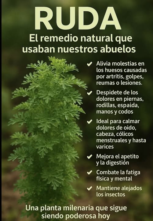 Mundiverso de Salud