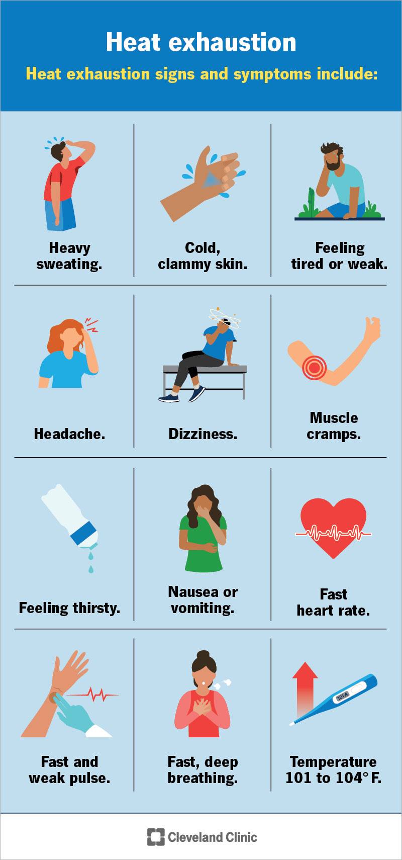 Be aware of the early signs of heat... - Good Deeds America | Facebook