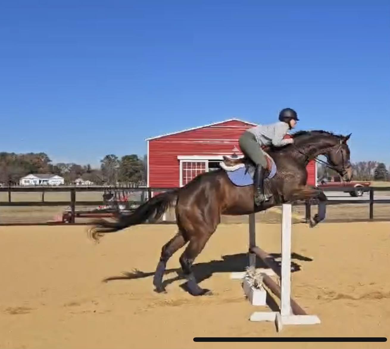 Spring Hill Farm NC 42 | Kenly NC