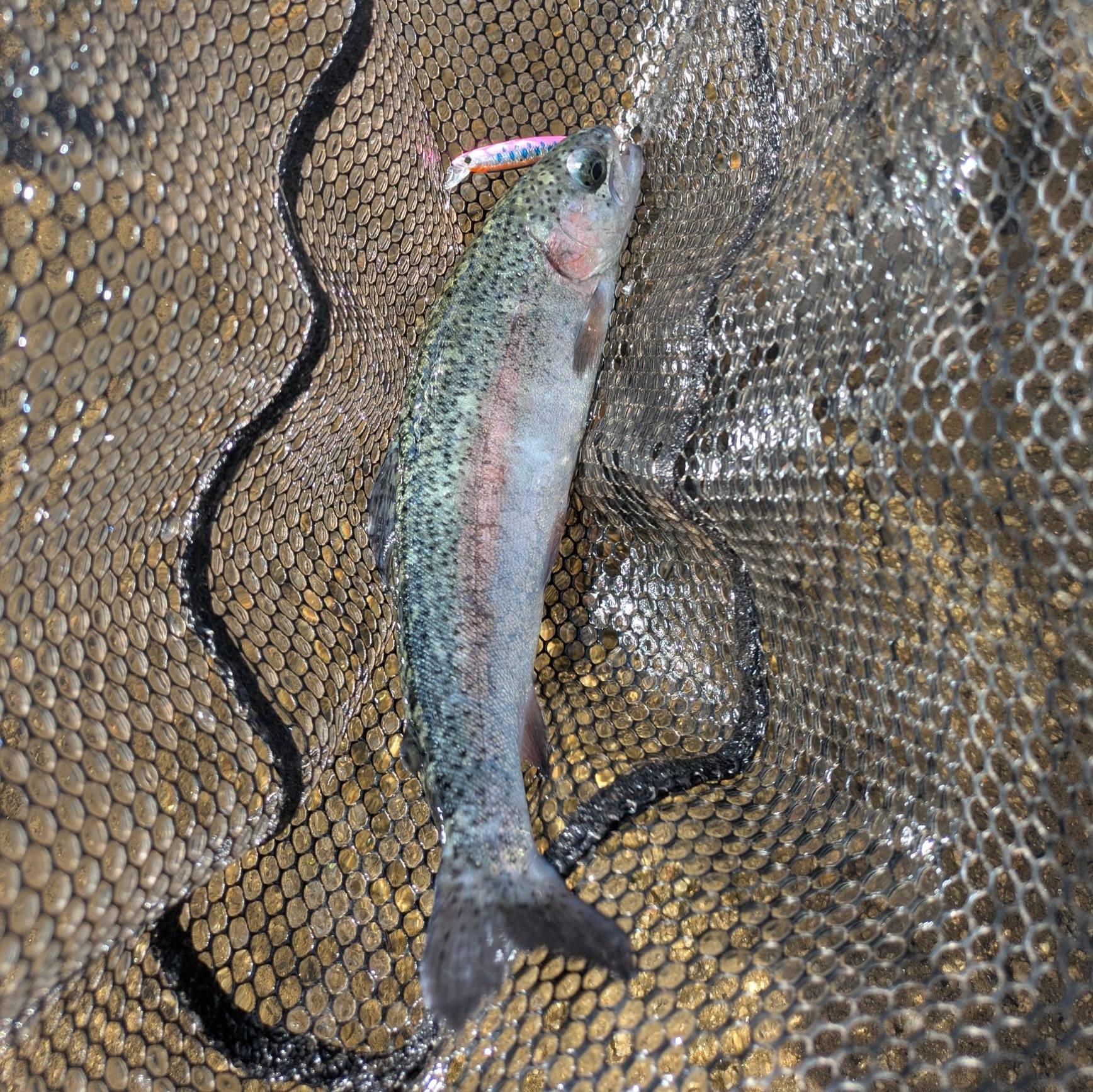 brush buster fishing lure lifetime warranty Color:Super Glow Green Jeans Bass Puzzle Grass Piece Sil’ skirt and is
