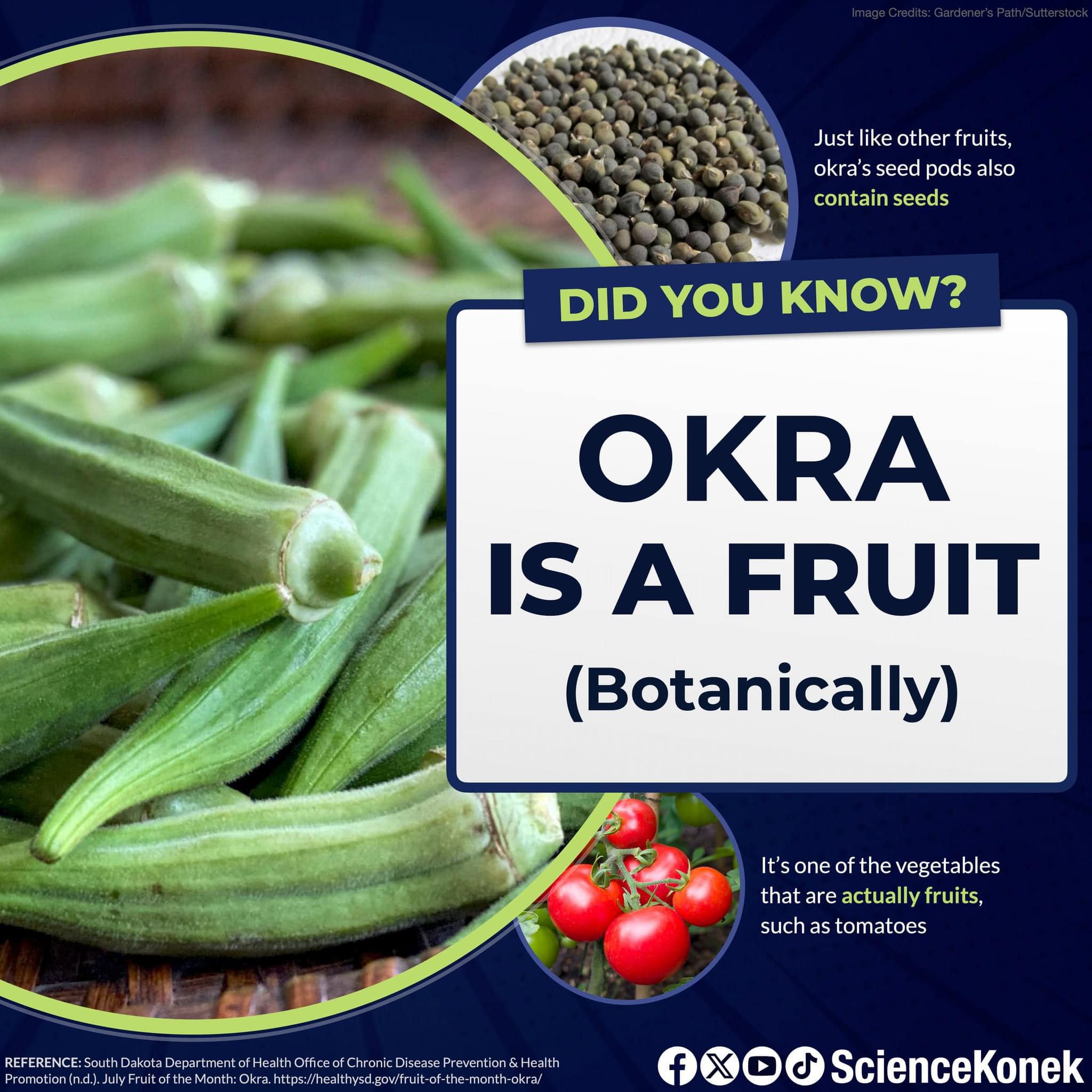 📌𝗢𝗞𝗥𝗔 𝗜𝗦 𝗔 𝗙𝗥𝗨𝗜𝗧 Though it's not your typical ingredient in the fruit salad, okra, also known as lady's fingers, is technically a fruit. A closer look into the structure of its