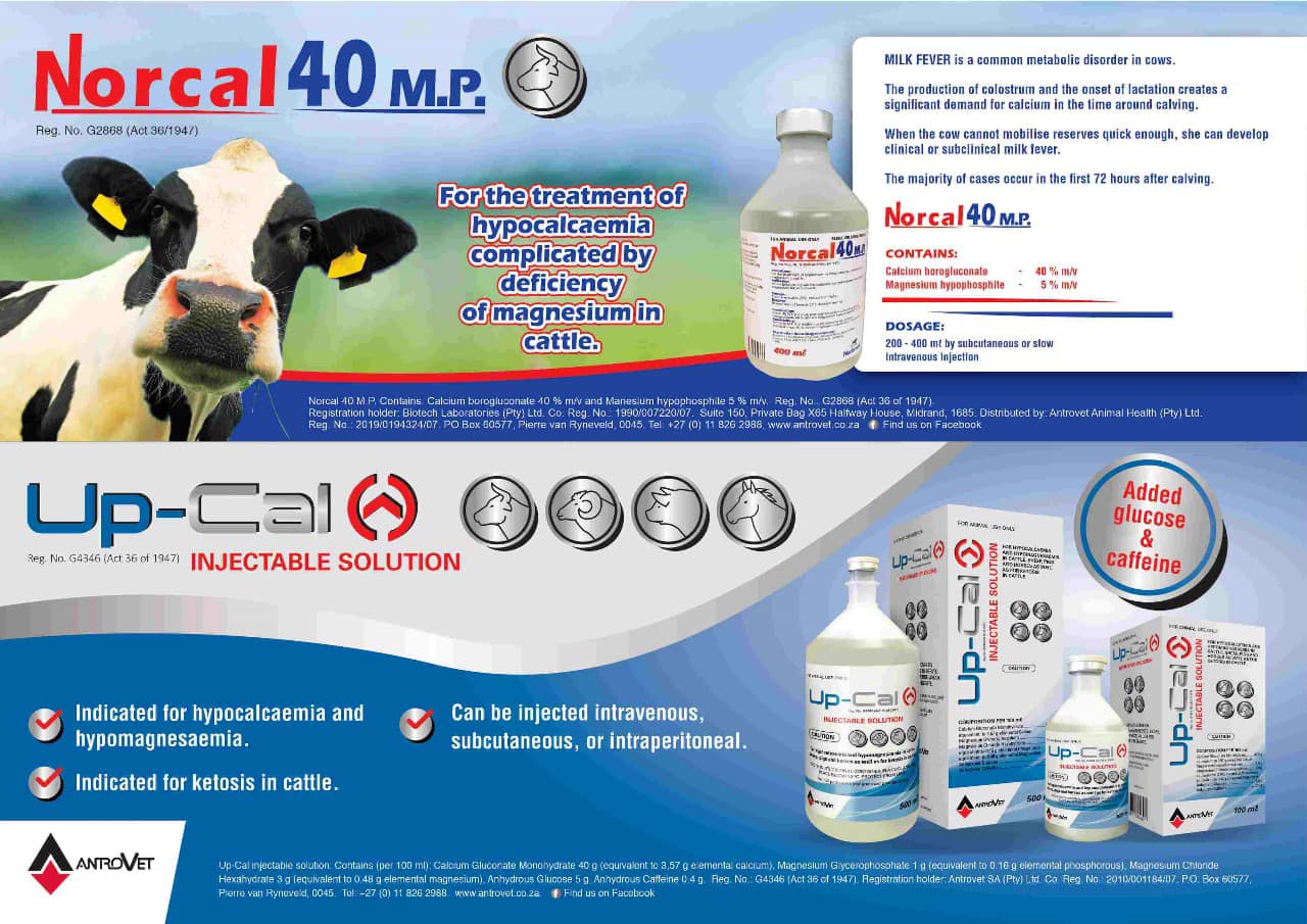 Our recommendation for treating... - Antrovet Animal Health | Facebook