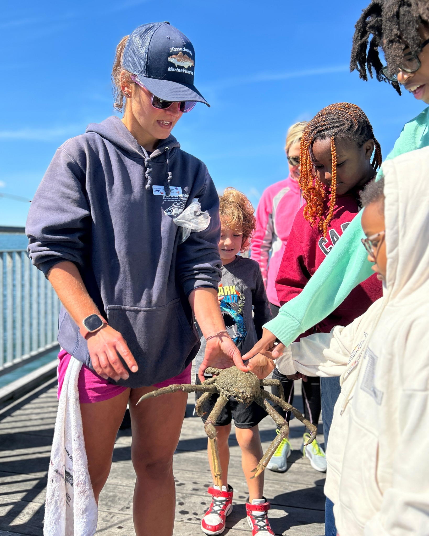 Massachusetts... - Massachusetts Division of Marine Fisheries