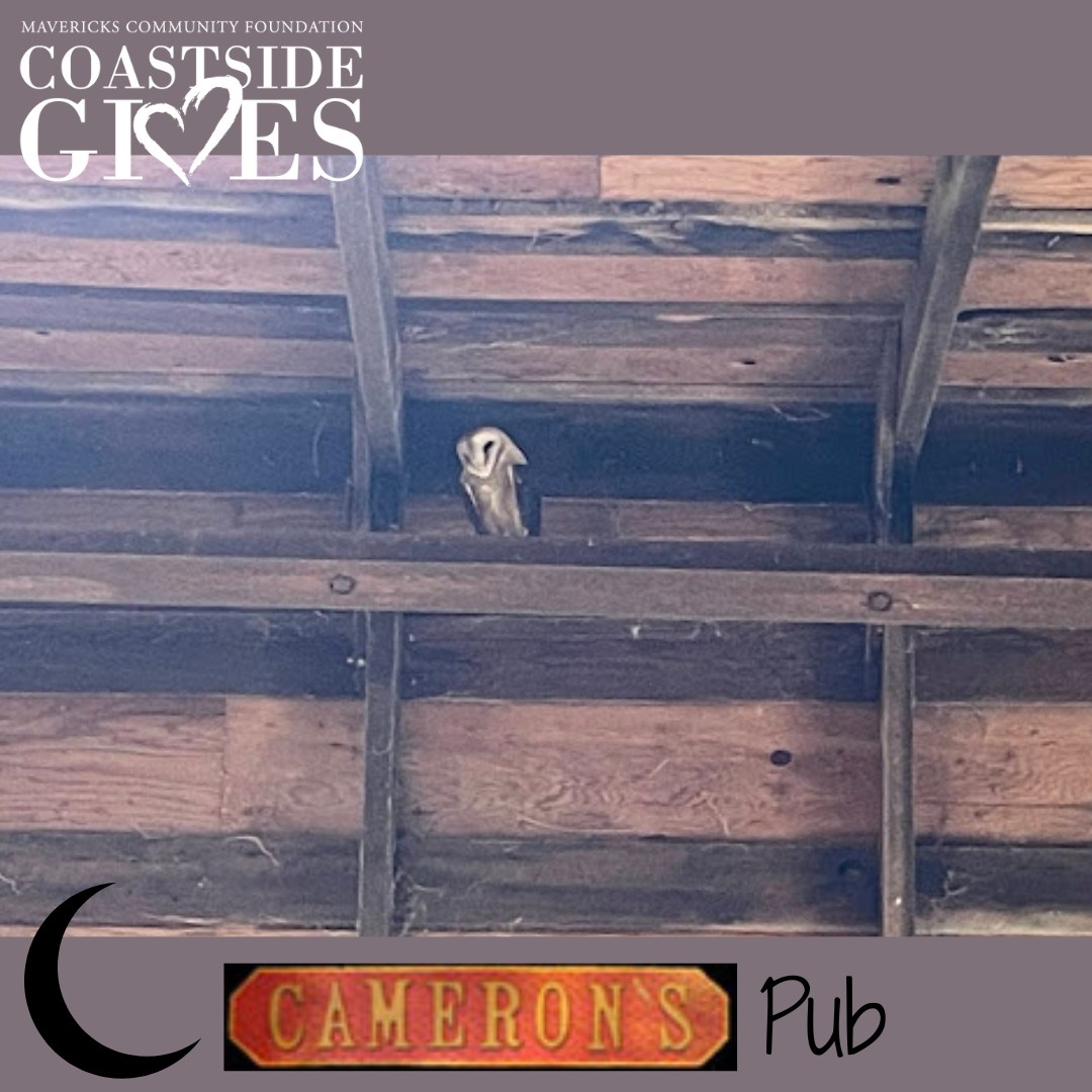 🦉 We love it... - Elkus Ranch Environmental Education Center | Facebook
