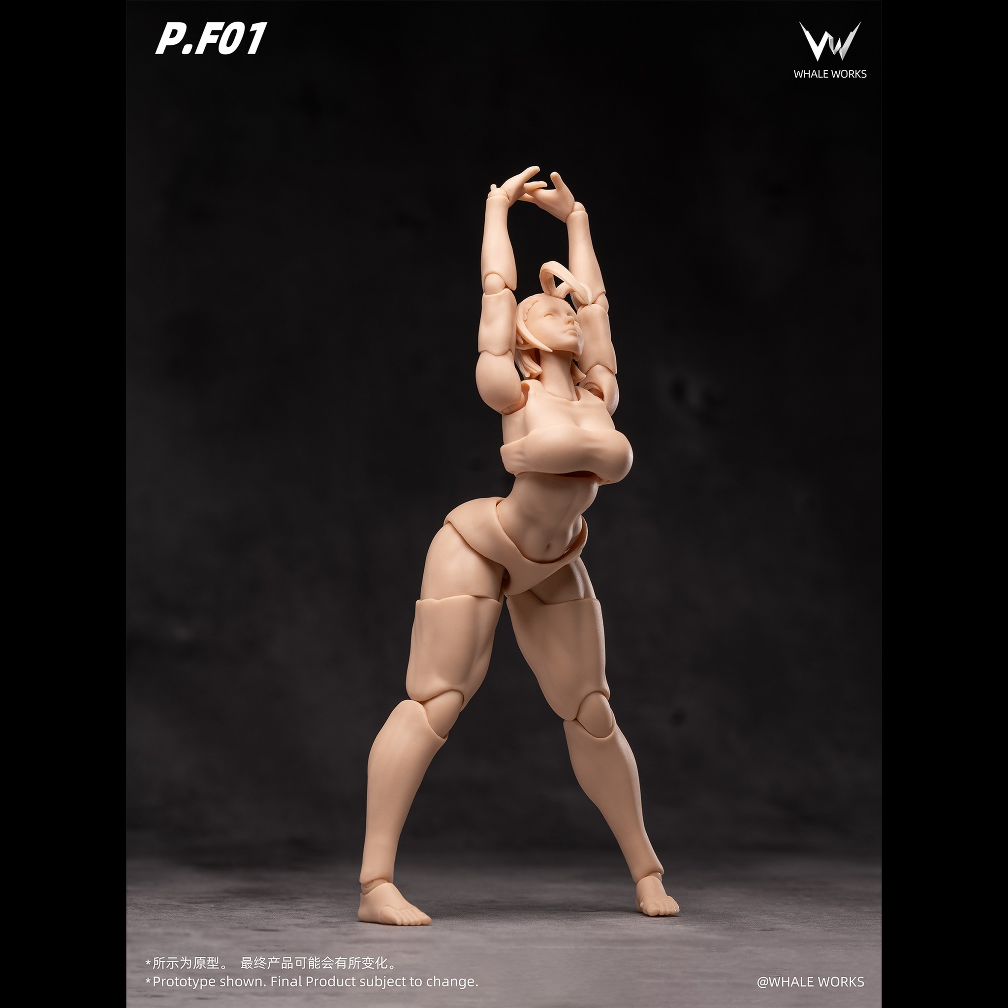 Preorder Opens NOW】Whale Works 1/12 Super Articulate figures Aria