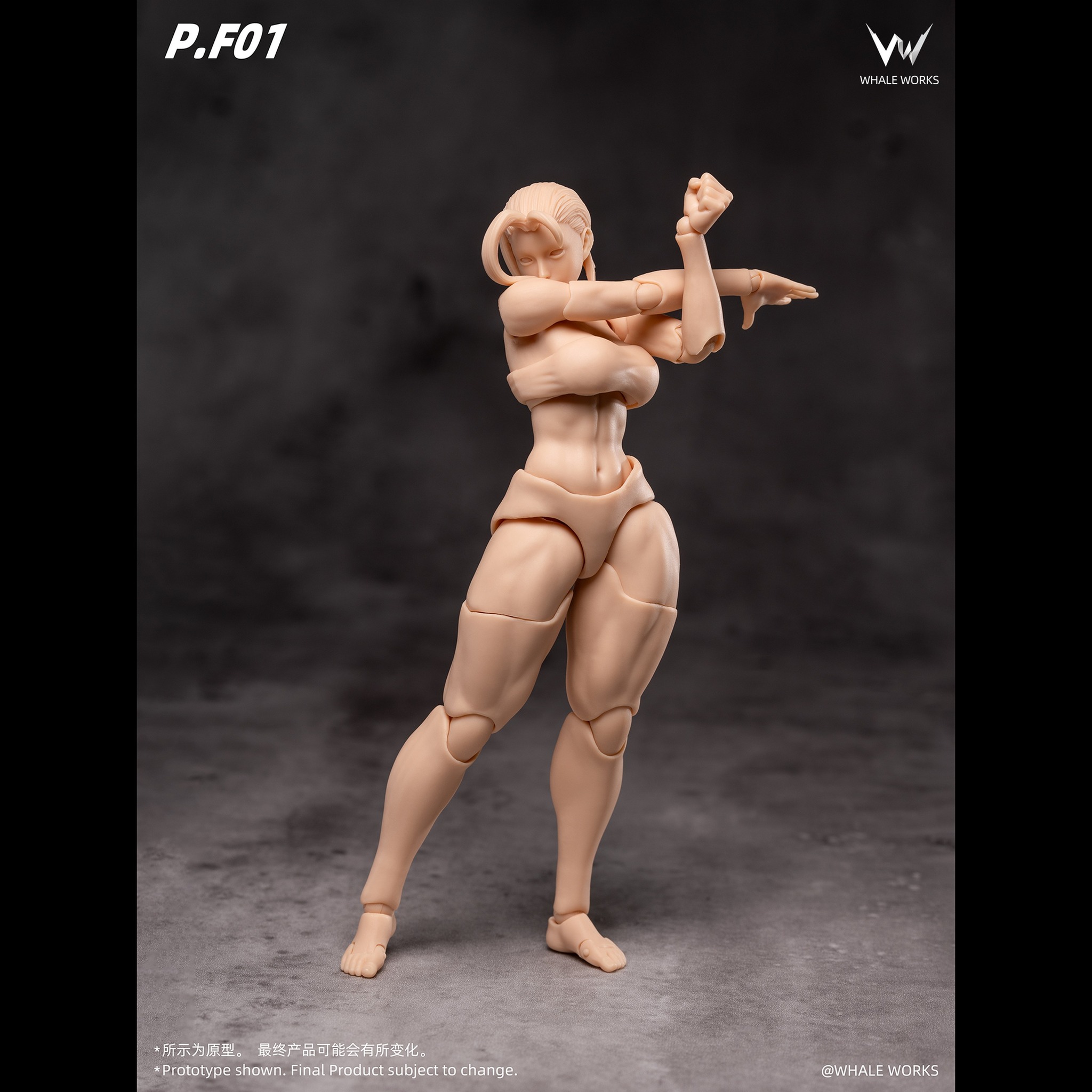 Preorder Opens NOW】Whale Works 1/12 Super Articulate figures Aria